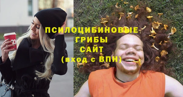 МДПВ Алексин