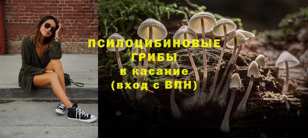 mdpv Козловка